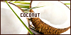 FD Coconut